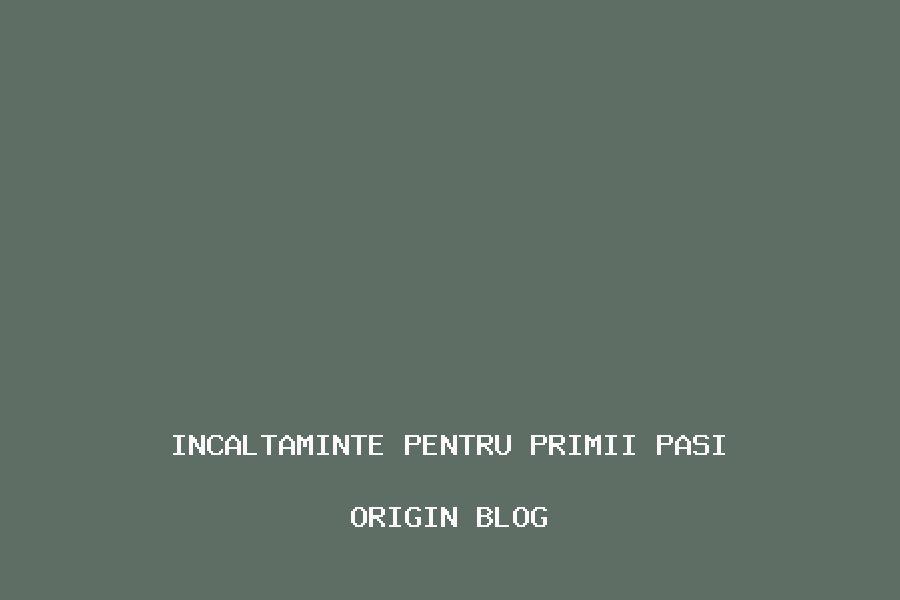 Incaltaminte pentru primii pasi