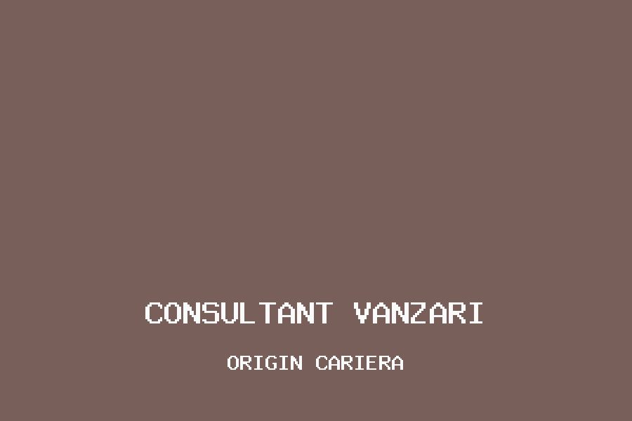 Consultant vanzari