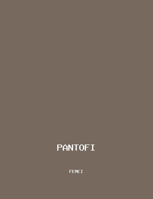 Pantofi